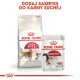 Opakowanie Royal Canin pokazujące torbę suchej karmy Regular Fit dla kotów oraz saszetkę mokrej karmy Instinctive z tekstem 'DODAJ SASZETKĘ DO KARMY SUCHEJ.'