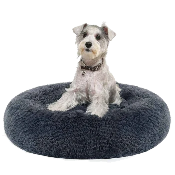 Kleiner weißer Hund mit Halsband und Glöckchen sitzt in einem grauen, runden Plüsch-Donut-Haustierbett vor weißem Hintergrund.
