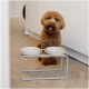 Ein flauschiger brauner Hund sitzt neben einem modernen erhöhten Futterstand mit zwei weißen Schalen, in einer hellen Küche.