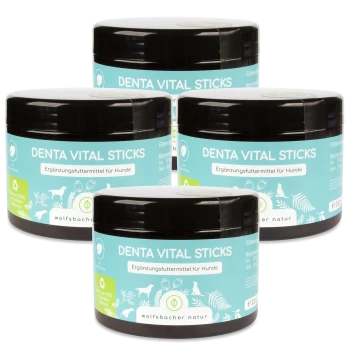 Vier Gläser "Denta Vital Sticks" für Hunde, mit einem hellblauen Etikett mit Text auf Deutsch, das anzeigt, dass es sich um ein Ergänzungsfuttermittel handelt.