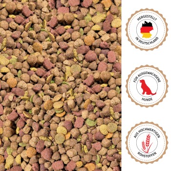 Golden Retriever, der aus einem Metallnapf auf weißem Boden frisst, mit deutschem Text, der vielseitiges Trockenfutter für Hunde bewirbt.