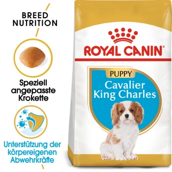 Royal Canin Welpenfutter für Cavalier King Charles, mit einem Welpenbild, Details zur rassespezifischen Ernährung und Gesundheitsunterstützungsansprüchen.