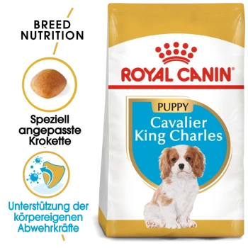 Royal Canin Welpenfutter für Cavalier King Charles, mit einem Welpenbild, Details zur rassespezifischen Ernährung und Gesundheitsunterstützungsansprüchen.