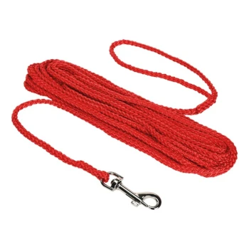 Rote geflochtene Haustierleine mit einem Metallclip an einem Ende, ordentlich auf einem weißen Hintergrund gewickelt.