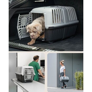 Eine Hundebox mit einem teilweise darin befindlichen Hund, im Kofferraum eines Autos. Die Box hat ein belüftetes Design und eine sichere Tür.