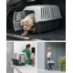 Eine Hundebox mit einem teilweise darin befindlichen Hund, im Kofferraum eines Autos. Die Box hat ein belüftetes Design und eine sichere Tür.