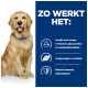 Golden retriever in een blauwe halsband, met tekst over voordelen: omega-3, glucosamine, chondroïtine, L-carnitine en antioxidanten.