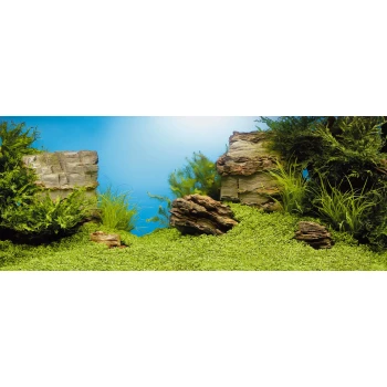 Aquarium back wall underwater landscape Aquarium landscape featuring lush green plants, textured rocks, and a bright blue background, ideal for aquatic pets.
