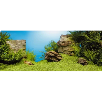 Aquarium landscape featuring lush green plants, textured rocks, and a bright blue background, ideal for aquatic pets.