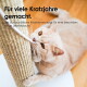 Beige Katze beißt in einen Sisal-Kratzpfosten; deutsche Überschrift lautet 'Für viele Kratzjahre gemacht.'