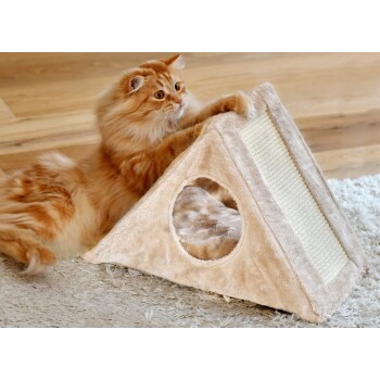 Eine flauschige orangefarbene Katze spielt mit einem beigen dreieckigen Kratzbaum mit weichem Innenraum und einer Kratzfläche auf einer Seite.