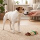 Petit chien blanc et brun prenant un bâtonnet à mâcher d'une main ; pochette ouverte de friandises en bâtonnets avec illustration de chien sur le tapis.
