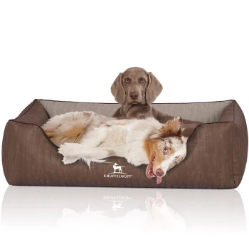 Orthopädisches Hundebett Outlander aus laser-gestepptem Kunstleder braun/ grau XL Ein entspannter Hund liegt auf einem gemütlichen braunen Haustierbett mit weichem Innenfutter, mit dem Markennamen 'KNUFFELWUFFF' deutlich sichtbar.