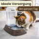 Dreifarbige Katze trinkt aus dem GarPet-Wasserspender (Sockel: 'Eat & Drink'); Bildtext: 'Ideale Versorgung' 'den ganzen Tag'.