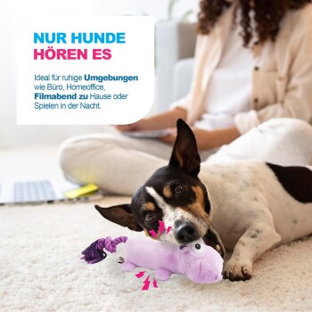 Kleiner schwarz-weißer Hund kaut an einem quietschenden violetten Plüschspielzeug; sichtbarer Anzeigentext auf Deutsch: 'NUR HUNDE HÖREN ES'.