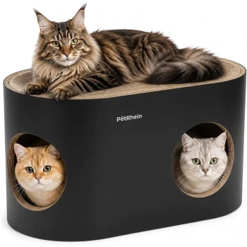 Graue Katze schläft auf einem schwarzen ovalen PetRhein Katzenhaus; eine dreifarbige Katze schaut aus dem rechten runden Eingang.