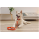 Weißer Hund mit orangefarbenem Halsband und Leine, liegend auf einem Holzboden in einem Wohnzimmer mit Sofa und Pflanze.