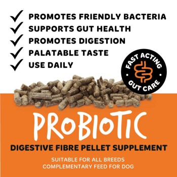 Probiotische Faserpellets für Hunde auf orangefarbenem Etikett mit dem Wort 'PROBIOTIC', einer Checkliste mit Darmvorteilen und Abzeichen 'Schnell wirkende Darmpflege'