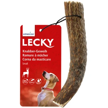 Ein kleiner natürlicher Hundekau-Stick mit der Aufschrift "LECKY" und einem Hund, der ihn ansieht, mit "100% natürlich" und "Knabber-Geweih."