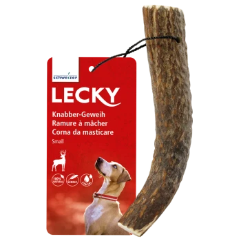 Ein kleiner natürlicher Hundekau-Stick mit der Aufschrift "LECKY" und einem Hund, der ihn ansieht, mit "100% natürlich" und "Knabber-Geweih."
