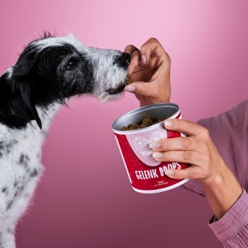 Eine Person füttert einen schwarz-weißen Hund mit einem Leckerli aus einem roten Behälter mit dem Etikett "GELENK DOOPS," vor einem rosa Hintergrund.