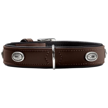 Braunes Lederhalsband mit schwarzer Polsterung, silberner Schnalle und D-Ring sowie dekorativen ovalen silbernen Conchos.