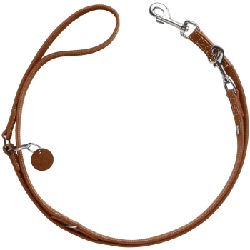 Braunes Leder-Hundeleine mit einem silbernen Clip und einem kleinen Anhänger mit einem Hundesilhouette.