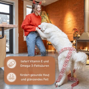 Eine Frau in einem roten Pullover spielt drinnen mit einem großen weißen Hund. Text hebt hervor: "Vitamin E und Omega-3" für gesunde Haut und glänzendes Fell.