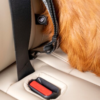 Kurgo Auto-Sicherheitsgurt für Hunde mit Swivel Tether mit  ISOFIX-Direktverbindung