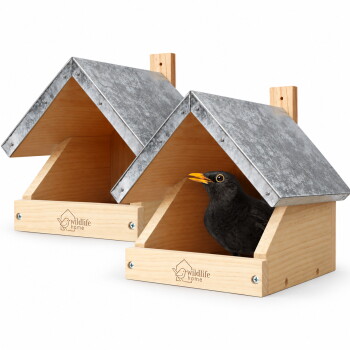 Zwei helle Holzvogelhäuser mit 'wildlife home'-Logo; eine Amsel lugt aus dem vorderen Haus und ein grünes Plus-Abzeichen ist sichtbar