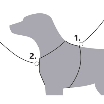 Illustration, die ein Hundegeschirr zeigt, mit nummerierten Punkten, die anzeigen, wo die Leine befestigt werden soll, beschriftet mit "1" und "2."
