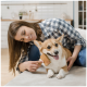 Eine Person in einem karierten Hemd bürstet einen glücklichen Corgi auf einem hellen Sofa in einer gemütlichen Wohnumgebung.