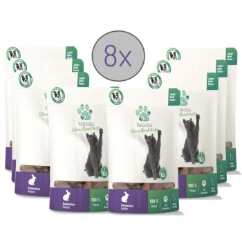 Acht Packungen Fellicita Katzenfutter mit einer verspielten grauen Katze auf der Vorderseite, beschriftet mit "100% Fleisch" und "Kaninchen Rabbit."