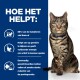 Een tabby kat met een blauwe halsband staat zelfverzekerd tegen een blauwe achtergrond, met tekst die de voordelen van gewichtsverlies voor huisdieren beschrijft.