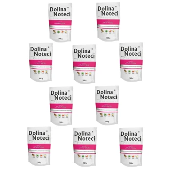 Premium Adult bogata w indyka saszetka 10x500 g Opakowanie karmy dla zwierząt Dolina Noteci Premium, z wieloma torebkami 500g oznaczonymi "Indyka" z ikonami naturalnych składników.