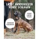 Eine Person in einem orangefarbenen Pullover hält eine Leine mit einem braunen Hund. Text: "Lässt Hundeherzen höher schlagen," "Weiches Neopren-Polster," "Angenehmer Tragekomfort."