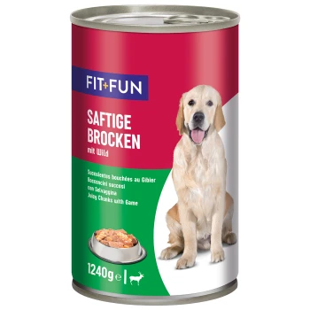 Dosenfutter für Hunde mit der Aufschrift 'FIT+FUN Saftige Brocken mit Wild', mit einem Golden Retriever und einer Schüssel mit Futter. 1240g.