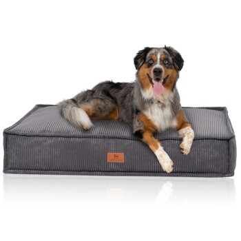 Hundekissen Lesedi aus Cord mit Handwebcharakter grau M-L