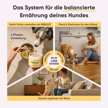 Ein Tierarzt hält einen kleinen Hund und bewirbt das Milo & Mia Haustierfutter für Verdauung, Gelenkgesundheit und Haut- & Fellvorteile.
