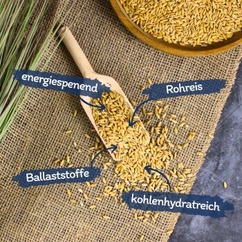 Eine Holzschaufel mit rohen Reiskörnern auf Jute, beschriftet mit "energiespendend", "Rohreis", "Ballaststoffe" und "kohlenhydratreich."