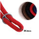 Rote geflochtene Haustierleine mit einem silbernen Metallring, mit einer Nahaufnahme verschiedener Farboptionen und einem Durchmesser von 0,8 cm.