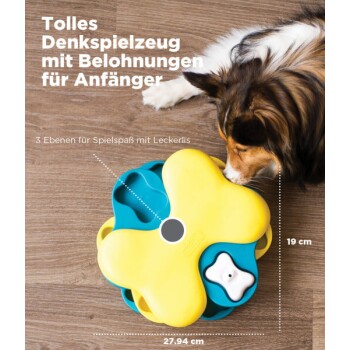 Ein Hund spielt mit einem bunten Anfänger-Puzzle-Spielzeug mit drei Leckerli-versteckenden Ebenen. Text: "Tolles Denkspielzeug für Anfänger."