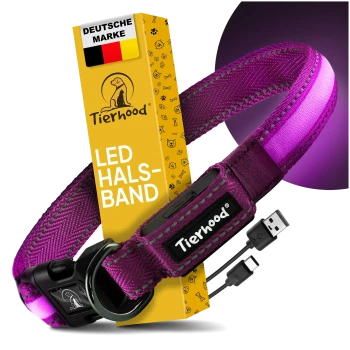 Lila LED-Hundehalsband von Tierhood, ausgestattet mit einem USB-Ladekabel, mit Farboptionen, die darunter angezeigt werden.