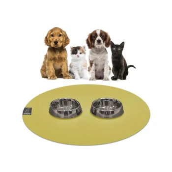 Eine goldene Haustiermatte mit zwei Edelstahlschüsseln steht vor einem Hund, einem Kätzchen und einer schwarzen Katze, die alle zur Kamera schauen.