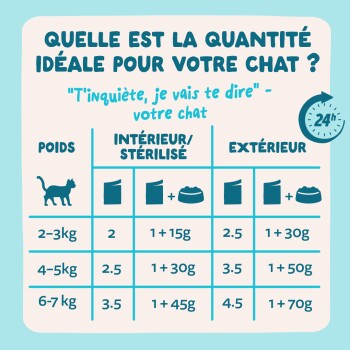 Tableau d'alimentation pour chat : proportions idéales pour chats de 2–3, 4–5, 6–7 kg — intérieur/stérilisé vs extérieur ; indique les rations de nourriture sèche en grammes.