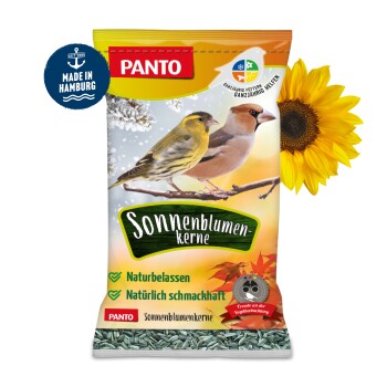 Eine bunte Tüte PANTO Sonnenblumenkerne für Vögel, mit zwei Vögeln, die auf einem Ast sitzen, und dem Text "Sonnenblumenkerne" deutlich sichtbar.