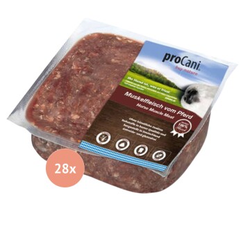 Rohes Haustierfutter in einer weißen quadratischen Schüssel, mit fein gehacktem Fleisch in einem satten Rotton, auf einer Holzoberfläche platziert.