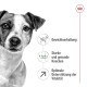Hundefutter-Werbung, die Vorteile hervorhebt: Gewichtsmanagement, starke und gesunde Knochen, optimale Vitalitätsunterstützung.