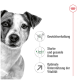 Hundefutter-Werbung, die Vorteile hervorhebt: Gewichtsmanagement, starke und gesunde Knochen, optimale Vitalitätsunterstützung.