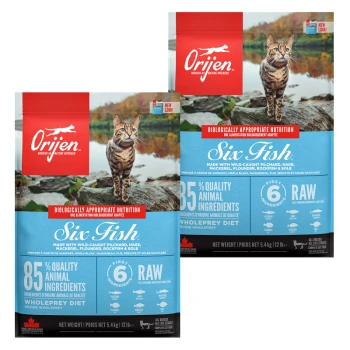 Zwei Beutel Orijen "Six Fish" Katzenfutter mit einer Tabby-Katze an einer felsigen Küste, die "85% hochwertige tierische Zutaten" und "6 roh" hervorhebt.